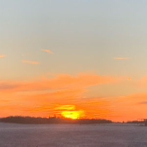 Meet your Posher, Sienna